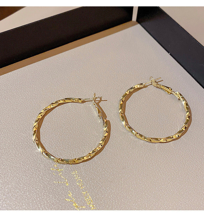 S925 silver needle European and American exaggerated large circle earrings