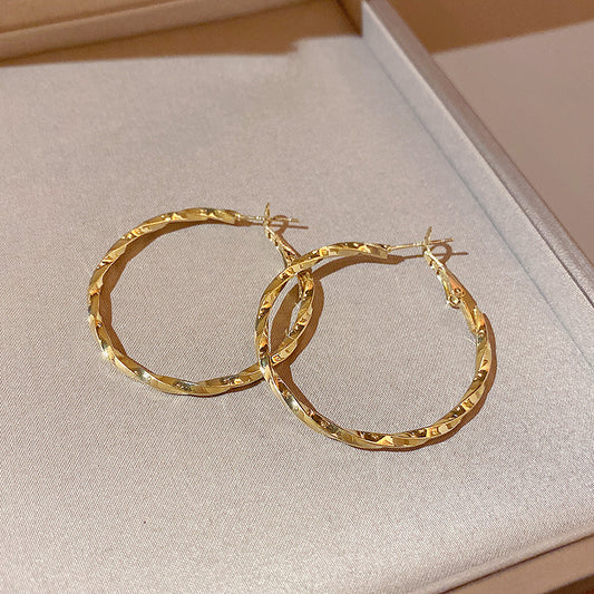 S925 silver needle European and American exaggerated large circle earrings