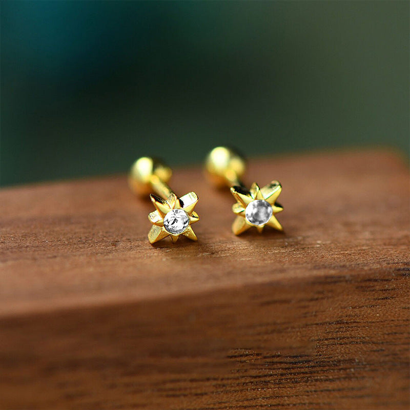 925 sterling silver earrings with various styles